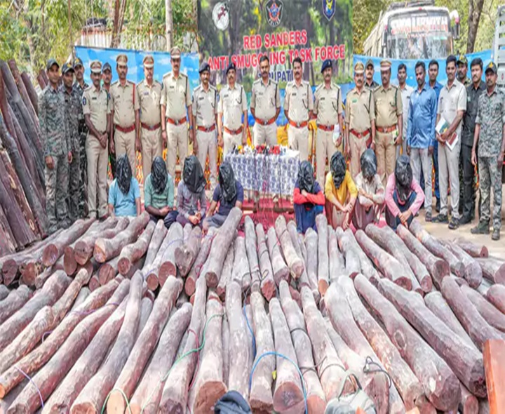 రూ.5 కోట్ల విలువైన ఎర్రచందనం దుంగలు స్వాధీనం