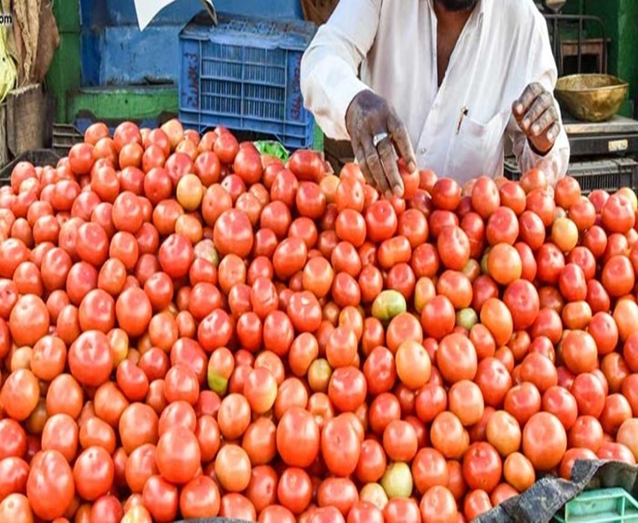 భారీగా పడిపోయిన టమాటా ధర