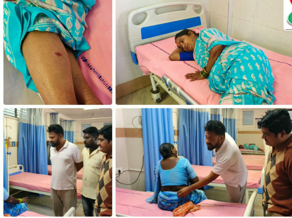 వీధి కుక్కల దాడిలో పలువురికి గాయాలు