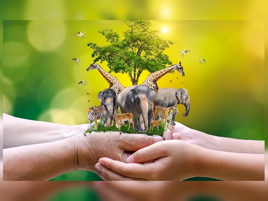 ప్రకృతికి ప్రాణం.. వన్యప్రాణుల రక్షణే మన లక్ష్యం