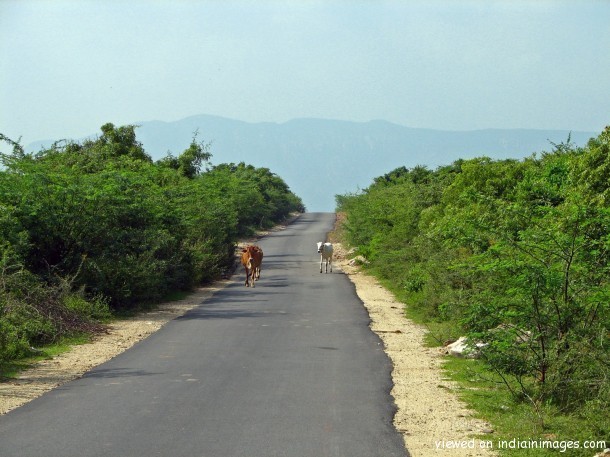 తడ–వరదయ్యపాలెం రోడ్డుకు మహర్దశ