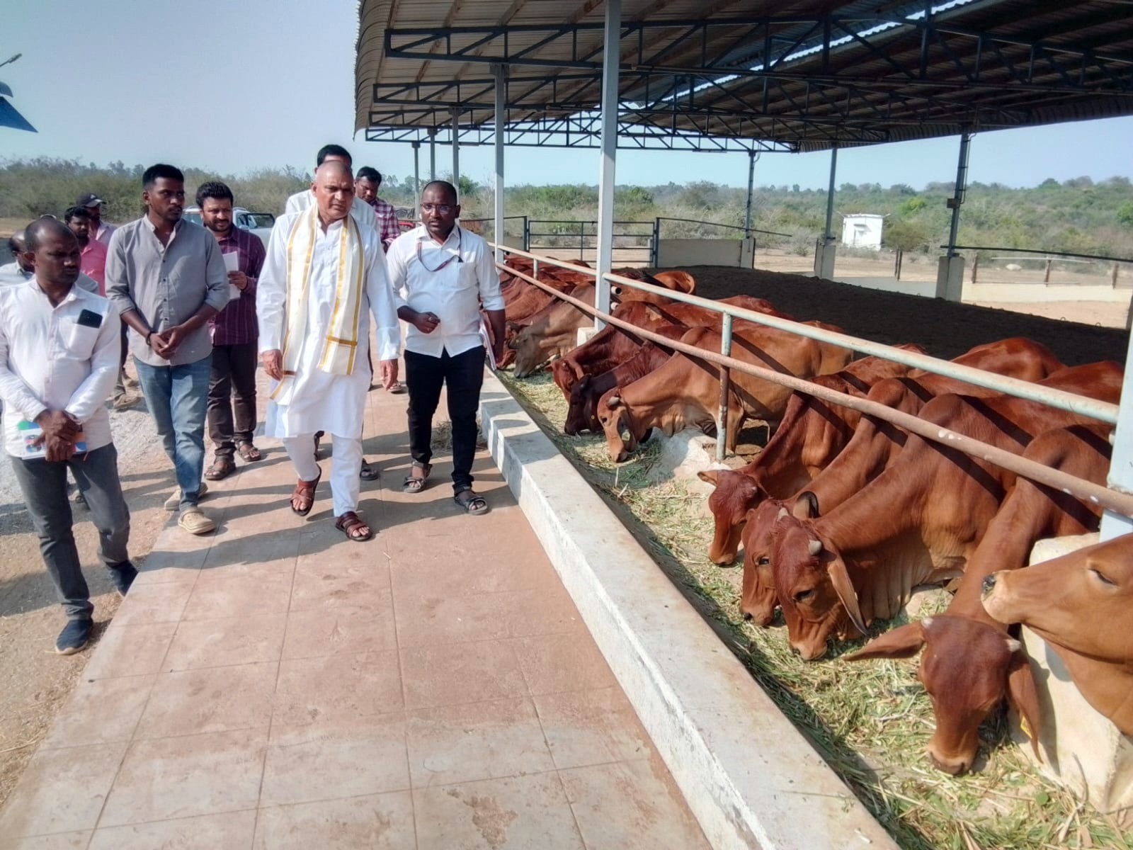 గోశాలను పరిశీలించిన జేఈవో