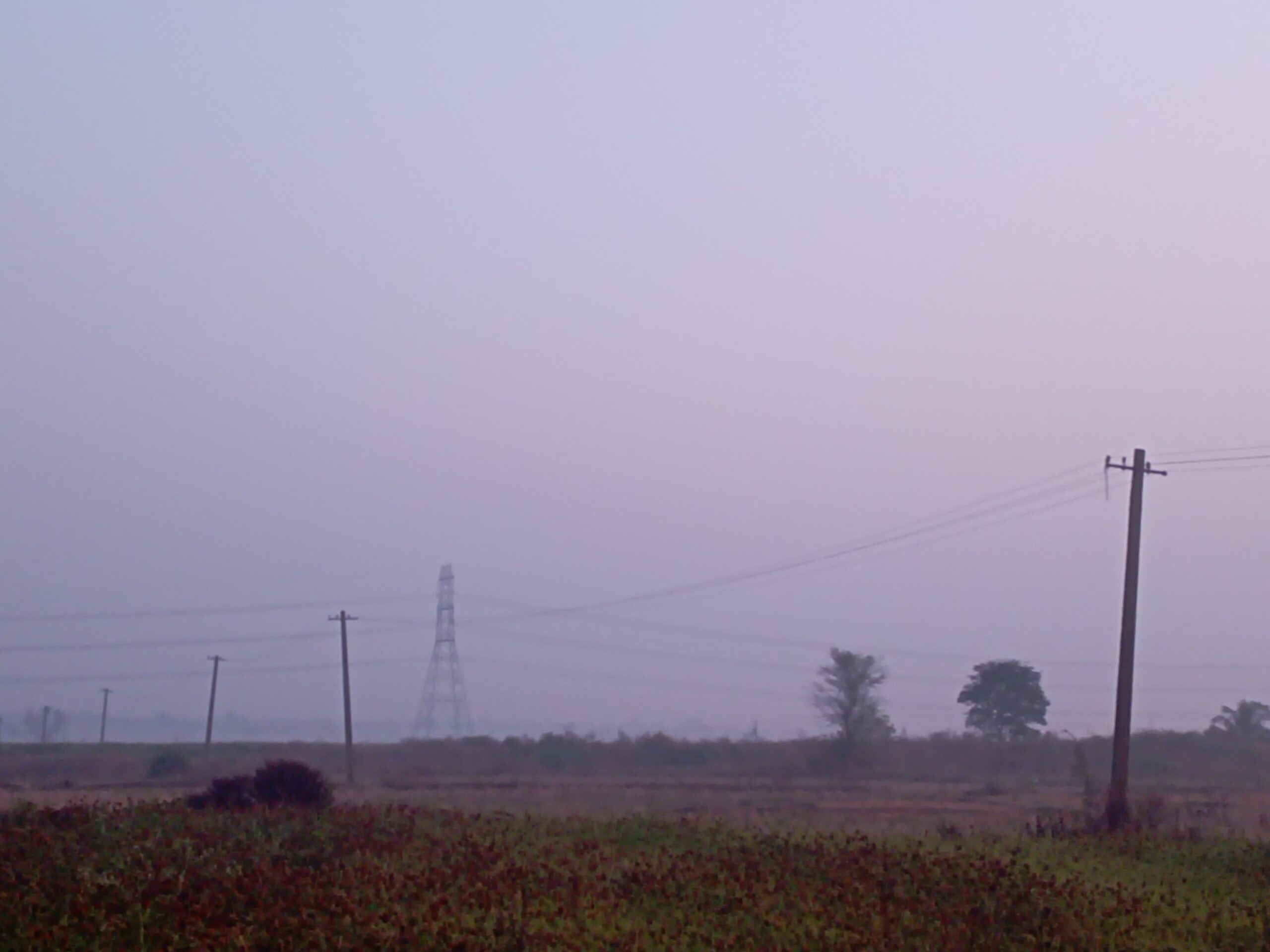 విపరీతంగా కురుస్తున్న పొగ మంచు