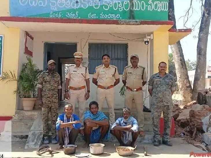 వన్యప్రాణిని చంపిన వ్యక్తులపై కేసు నమోదు