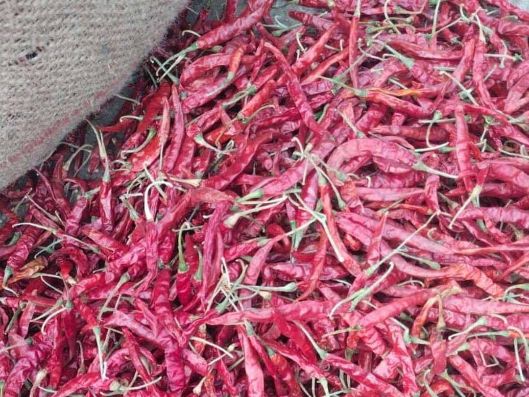 ప్రారంభమైన మార్కెట్.. మిర్చి ధరలు ఇలా..!