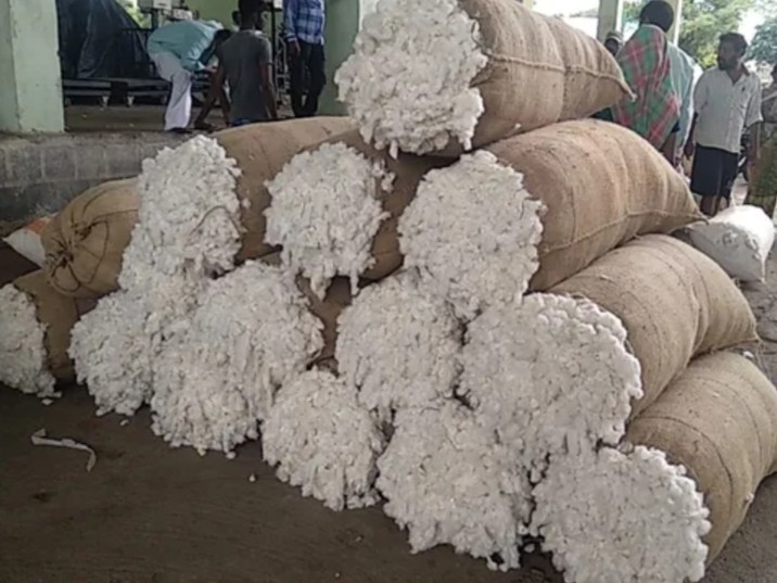 క్వింటా పత్తి రూ.7,430