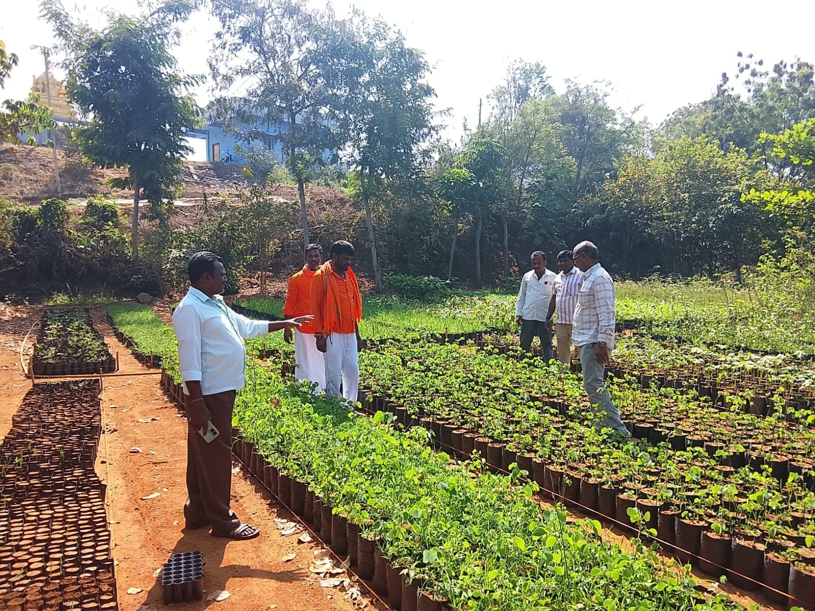 చందూర్‌లో నర్సరీ పరిశీలన