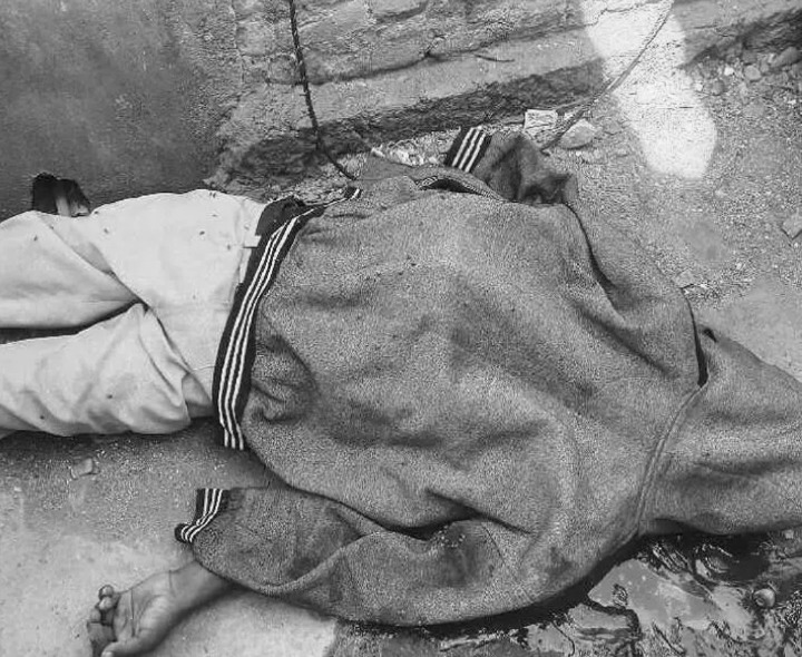 చెట్టుపై నుంచి పడి యువకుడి మృతి