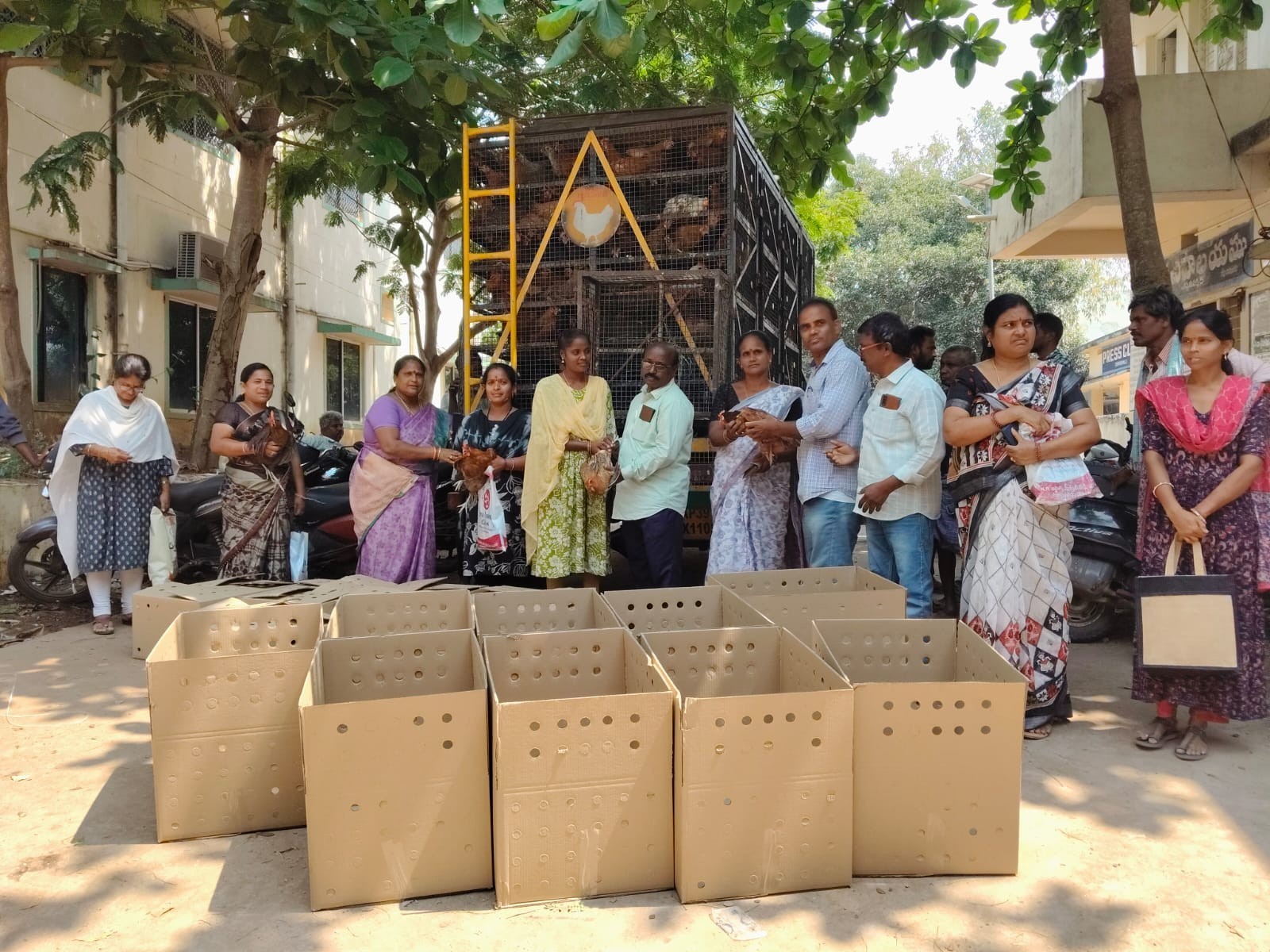 డ్వాక్రా మహిళలకు పెరటి కోళ్లు పంపిణీ