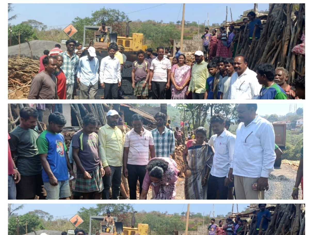 నూతన బీటీ రోడ్డు ప్రారంభం