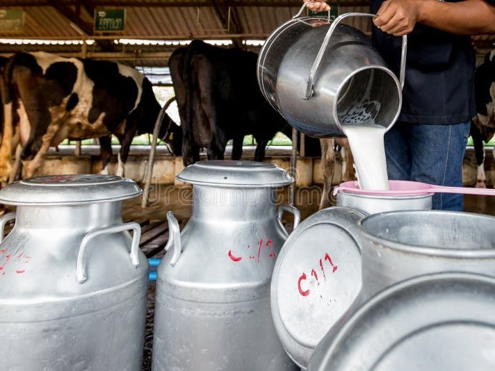కడపలో కల్తీ పాలు నివారణపై అవగాహన