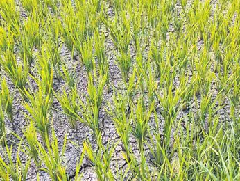 రోజులో కేవలం 12గంటల్లోపే సరఫరా