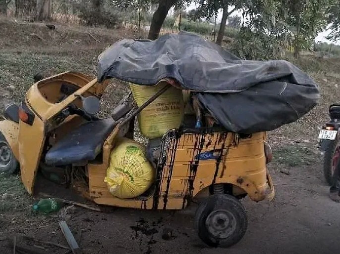 ఆటో బోల్తా పడి పలువురికి గాయాలు