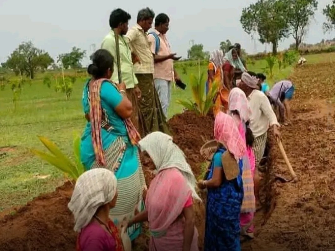 ‘ఉపాధి హామీ కూలీలకు ‘ముఖ హాజరు’ తప్పనిసరి’