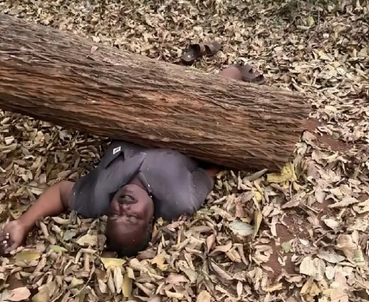 ప్రమాదవశాత్తు మామిడి కొమ్మ పైనపడి వ్యక్తి మృతి