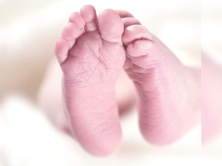 ముళ్లపొదల్లో పసికందు ప్రత్యక్షం