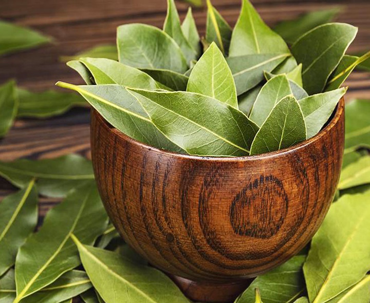 బిర్యానీ ఆకుతో బోలెడు లాభాలు