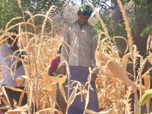 వ్యవసాయ పొలంలో రైతు ఆత్మహత్య