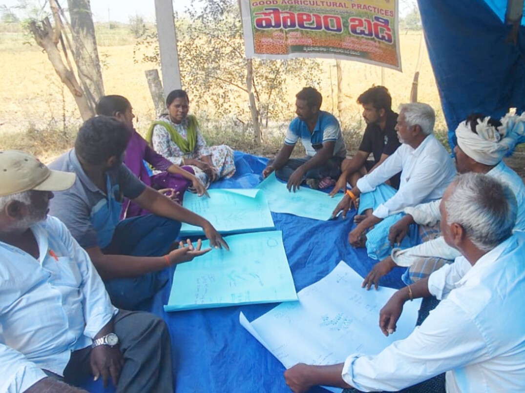 ‘శనగ పంట నాణ్యతపై దృష్టి పెట్టాలి’