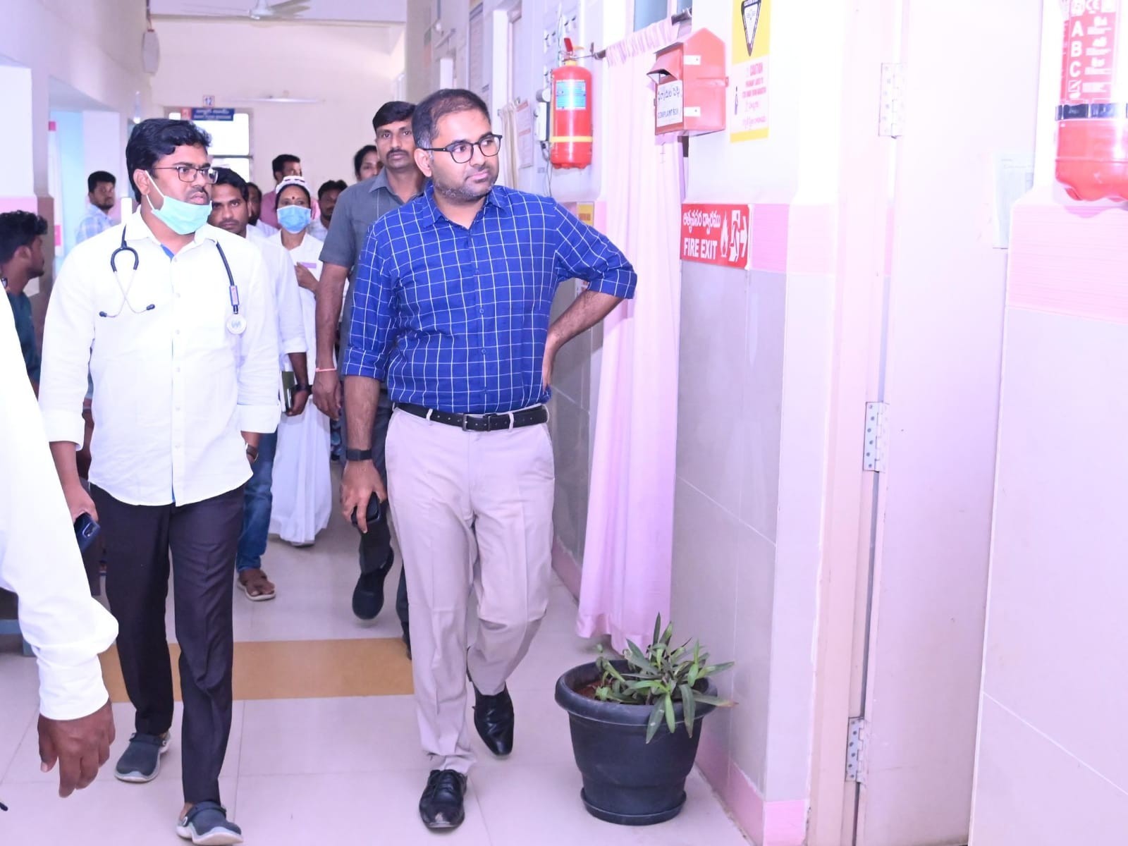 పందుల కొరత రాకుండా చర్యలు: కలెక్టర్