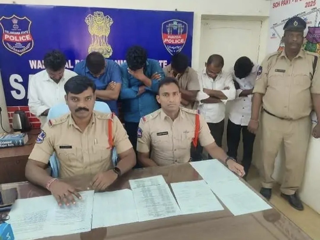 పందుల దొంగతనం కేసులో ఆరుగురు అరెస్ట్: సీఐ