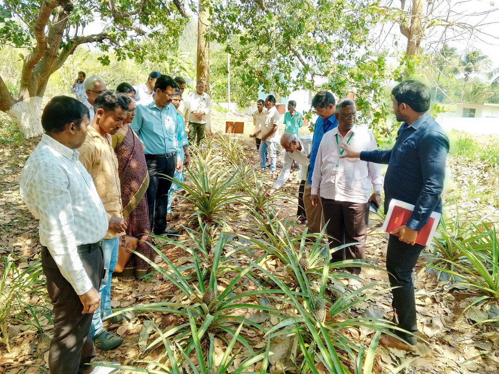 కేవీకే శాస్త్రీయ సలహా సంఘం సమావేశం