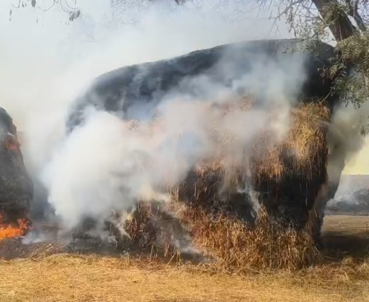 గడ్డివాములకు గుర్తు తెలియని వ్యక్తులు నిప్పు