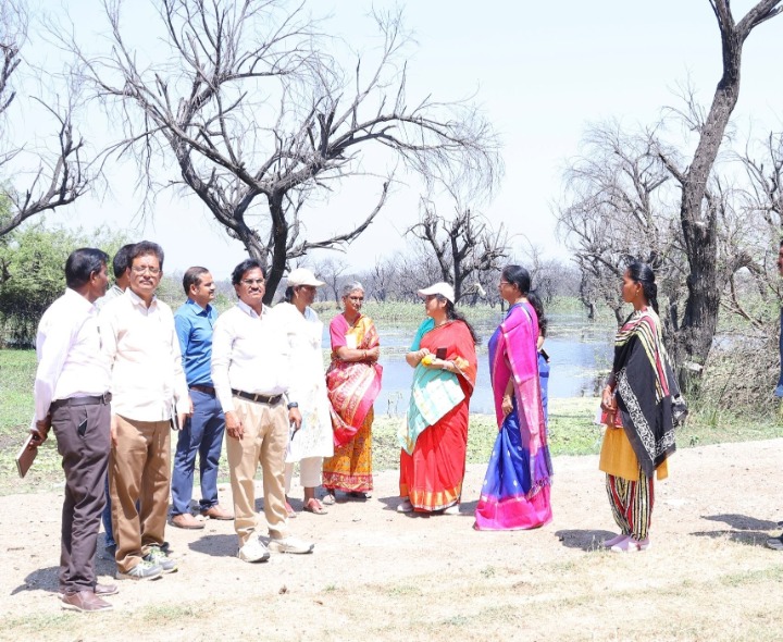 అభివృద్ధి పనులను పరిశీలించిన కలెక్టర్
