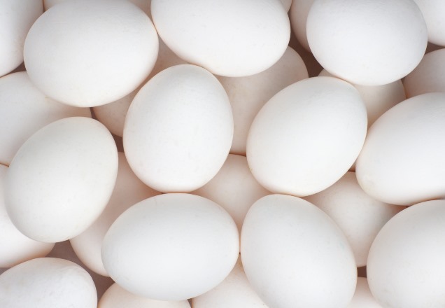 భారీగా పడిపోయిన ధర