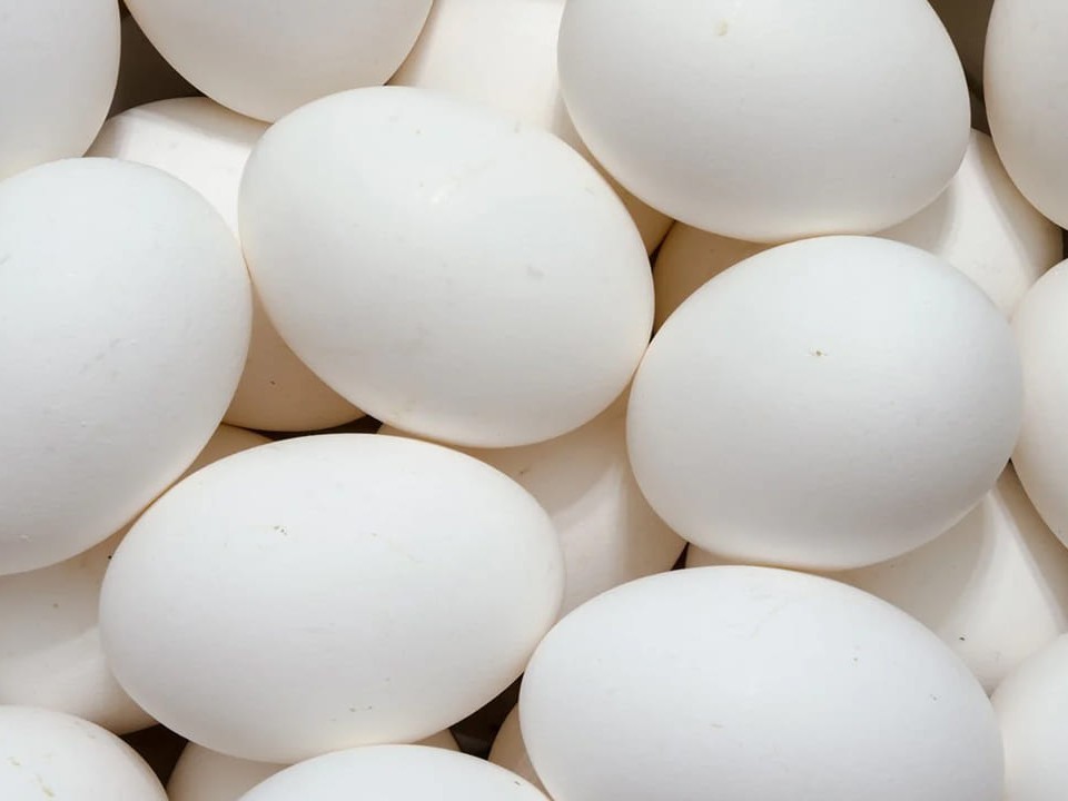 యుద్ధం ఎఫెక్ట్.. పడిపోయిన కోడిగుడ్ల ధరలు..!