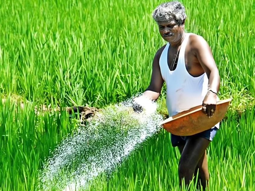 ఇకపై మండలం యూనిట్‌గా యూరియా పంపిణీ!