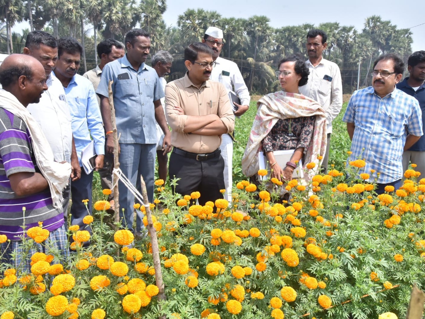 ‘ఉద్యాన పంటలను సాగు చేయాలి’