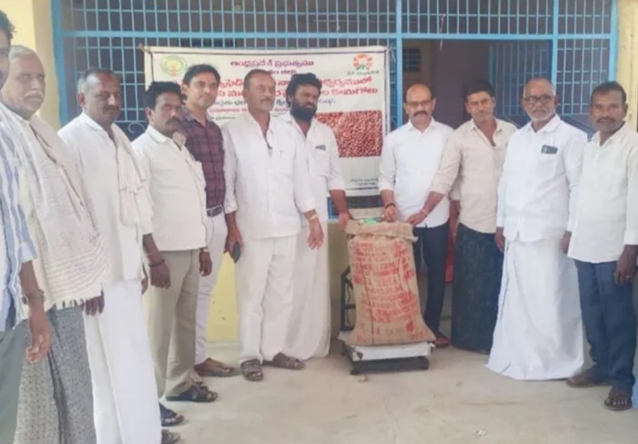 రైతులకు అండగా కందుల కొనుగోలు కేంద్రం