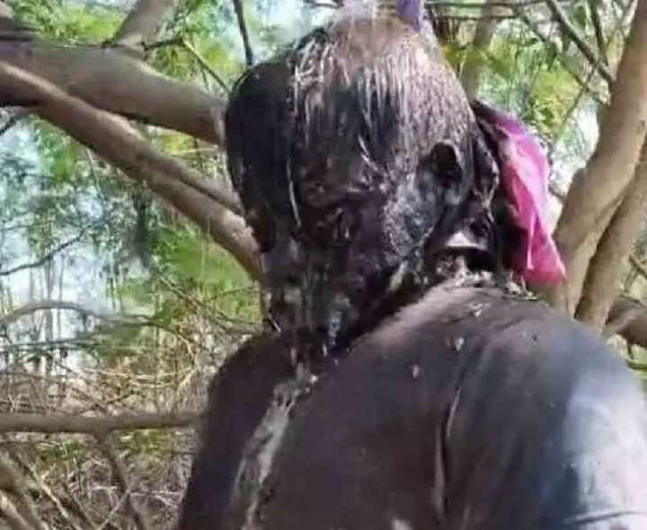 కుళ్లిపోయిన స్థితిలో గుర్తుతెలియని మృతదేహం లభ్యం