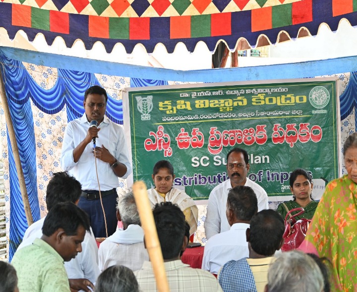 మల్లవరంలో జీడి మామిడి  రైతులతో సమీక్ష