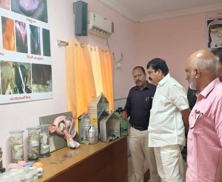 పశువుల పెంపకంతో రైతులకు సుస్థిర ఆదాయం: MP