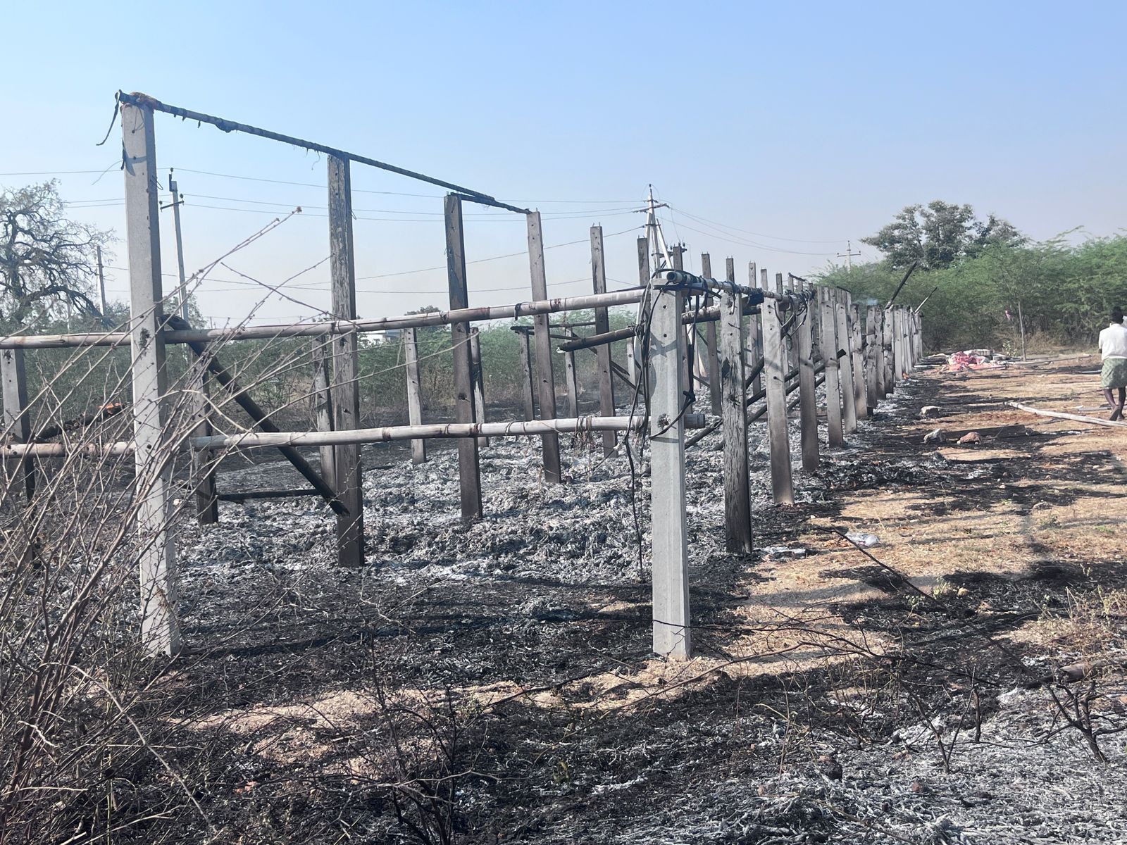 మార్కాపురంలో పొగాకు దగ్ధం.. రూ.8 లక్షల నష్టం