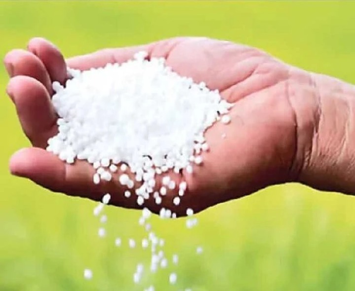 నేడు మండలంలో యూరియా బస్తాల పంపిణీ