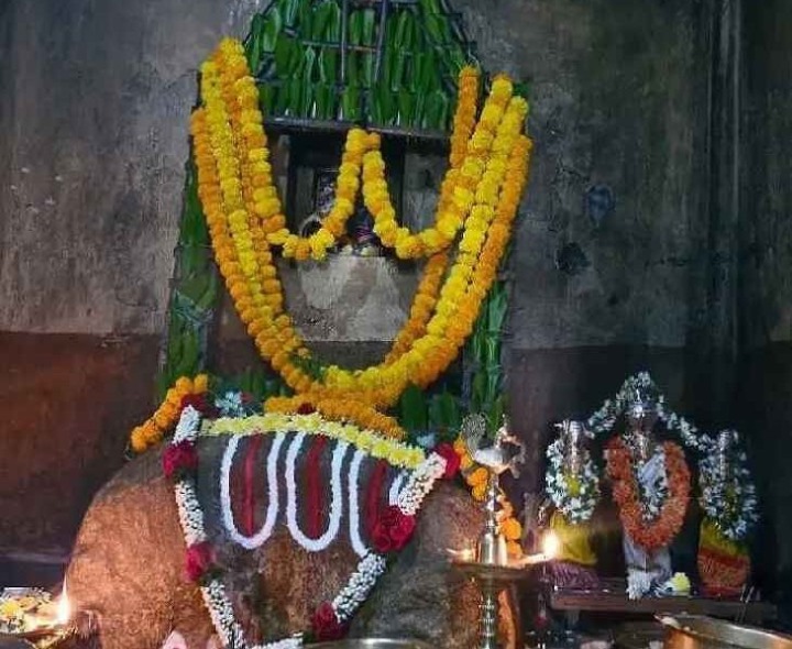 బింగి దొడ్డి తిమ్మప్ప స్వామికి ప్రత్యేక పూజలు