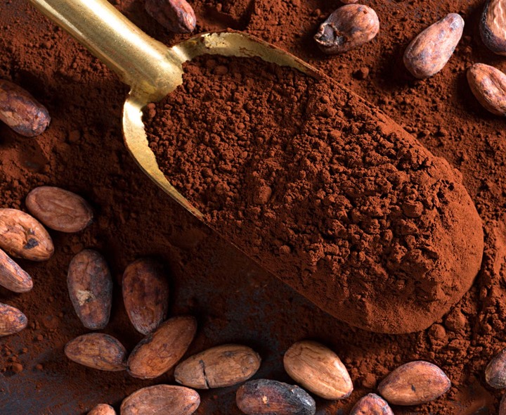 కోకోతో మీ మెదడు పనితీరు మెరుగుపడుతుంది!