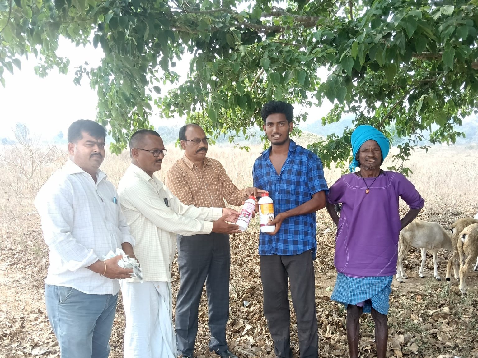 ‘పశువుల పెంపకంలో శాస్త్రీయ పద్ధతులు పాటించాలి’