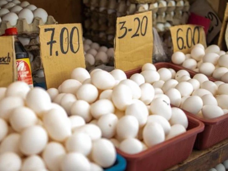 గుంటూరులో భారీగా తగ్గిన కోడిగుడ్ల ధరలు