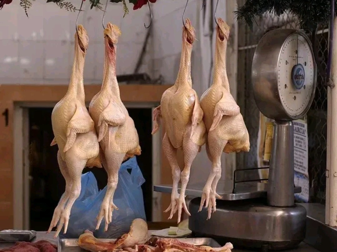 నేడు చికెన్ ధరలు ఎంత అంటే..?