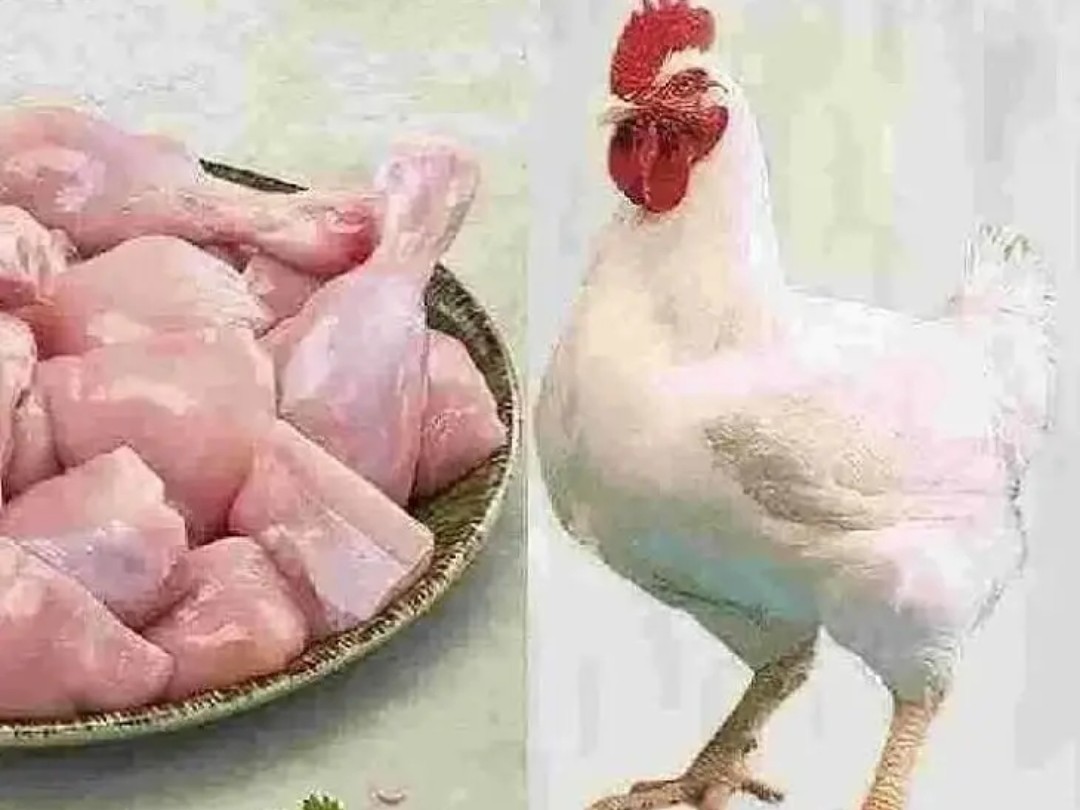 జిల్లాలో చికెన్ మటన్ ధరలు