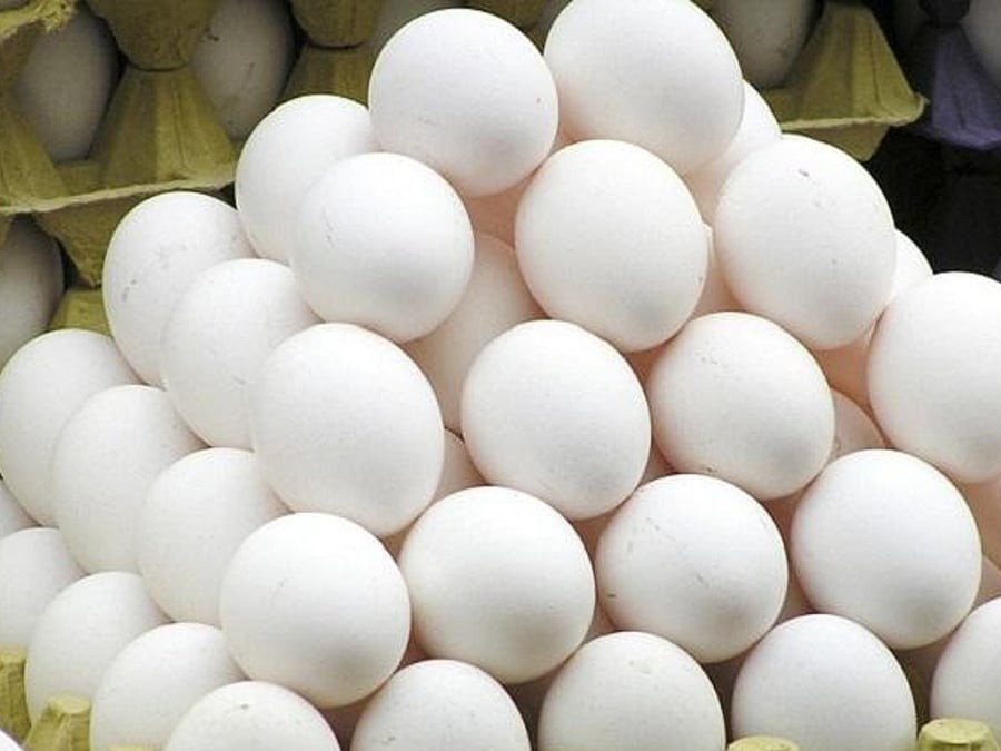 దారుణంగా పడిపోయిన కోడిగుడ్ల ధర