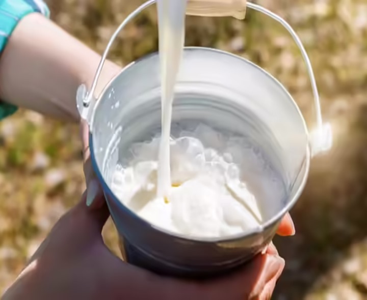 కల్తీ పాల ఘటన కేసులో రెండోరోజు విచారణ