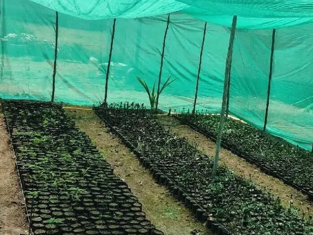 మొక్కల రక్షణకు గ్రీన్ మ్యాట్