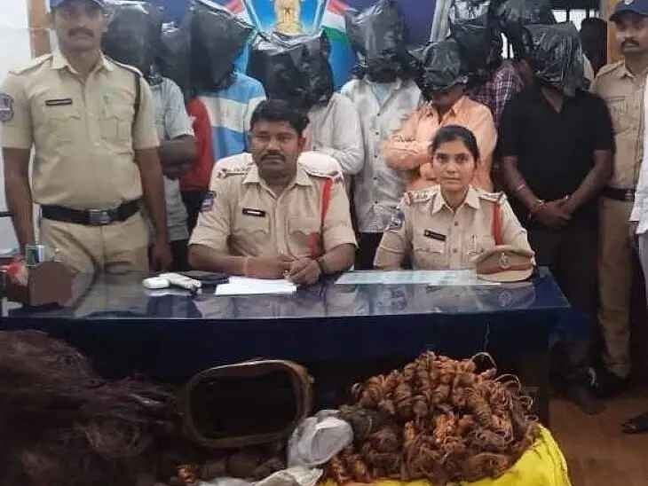 కాపర్ వైర్ చోరీ చేస్తున్న పదిమంది సభ్యుల ముఠా అరెస్ట్