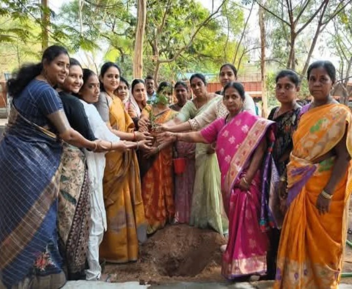 యార్డ్ ప్రాంగణంలో మొక్కలు నాటిన ఛైర్‌పర్సన్