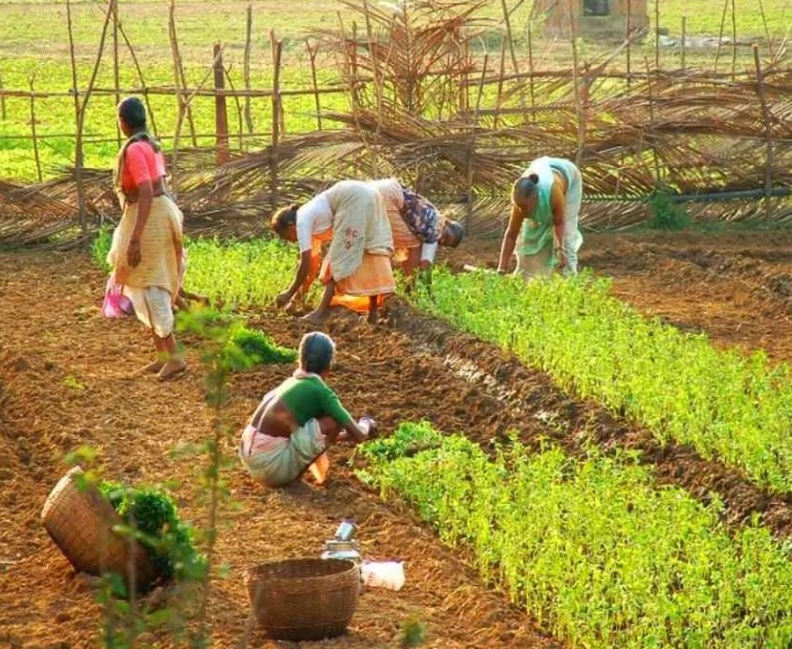 జిల్లాలో రైతు రిజిస్ట్రేషన్ 88% పూర్తి